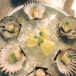 fresh-scallops-philadelphia-pearls