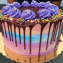 raibow-cake-Flying Monkey Bakery